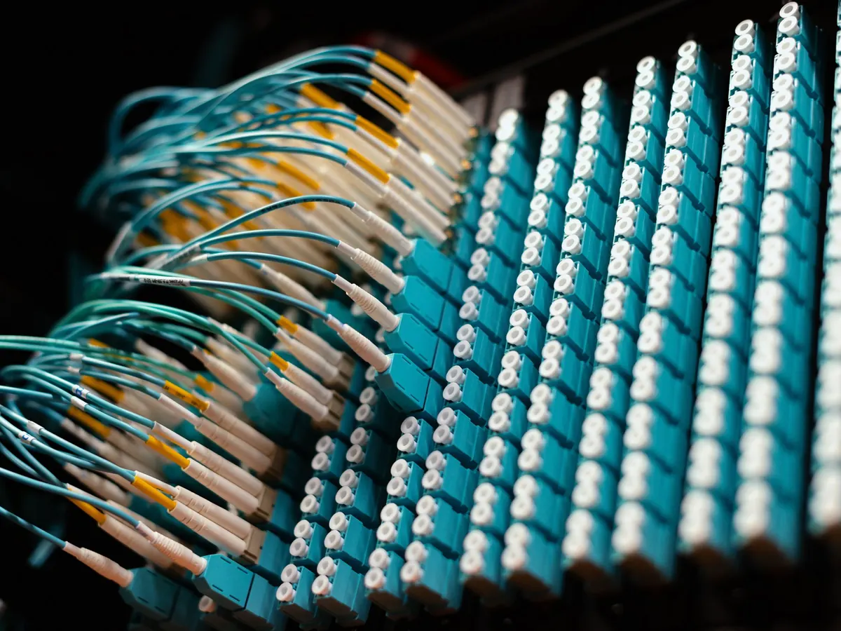 Cables de fibra óptica conectados a un panel de parcheo