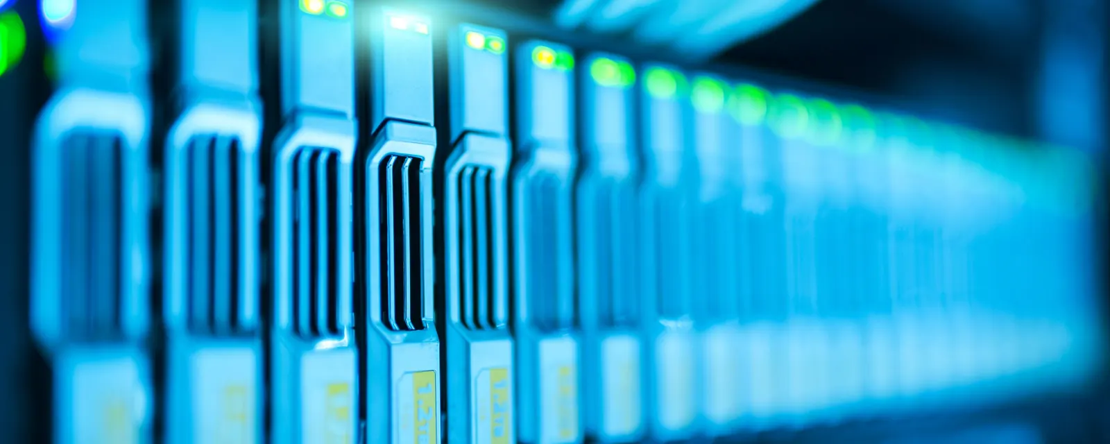Puertos de un switch de red con cables conectados e indicadores encendidos